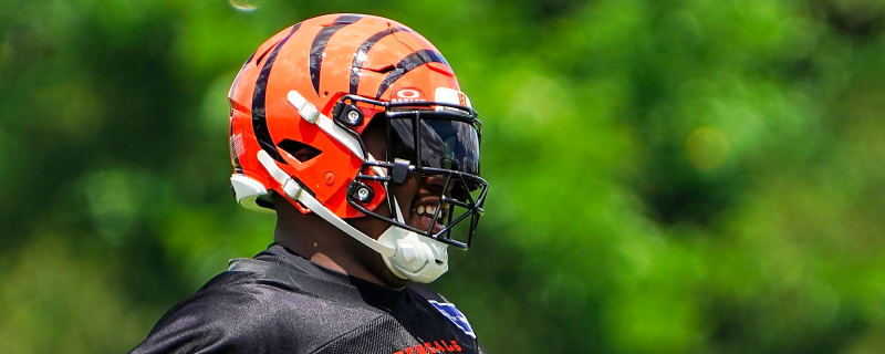 NFL executives, coaches give Bengals' Dexter Lawrence II bulletin board material