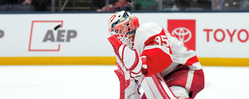 Report: Michal Postava Recalled By Detroit Red Wings