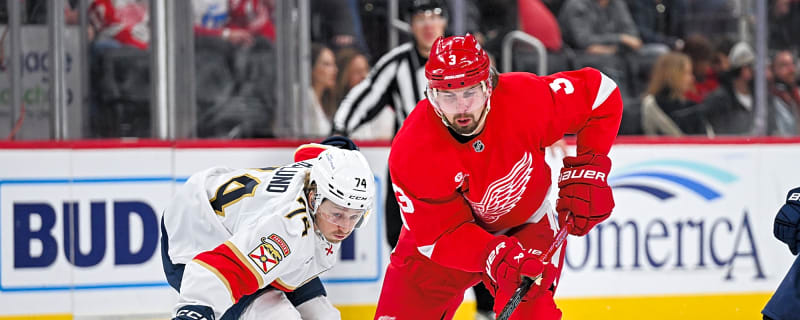 Red Wings Recall Justin Holl