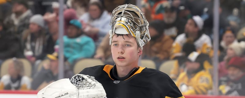 Penguins Recall Sergei Murashov