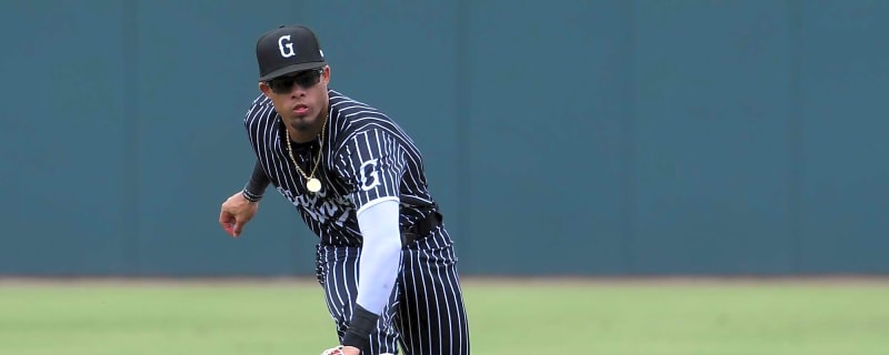 Red Sox top prospect Franklin Arias named Eastern League Player of the Month for April