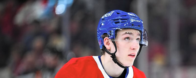 Analyst Has a Simple but Genius Fix After Lane Hutson’s Phantom Penalty