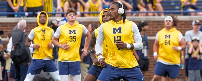 Big Ten Announces Final Ruling On Michigan vs. Western Michigan Ending