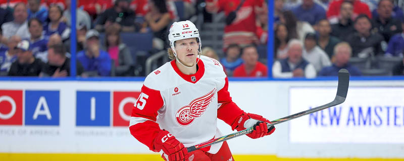 Detroit Red Wings Place Six on Waivers