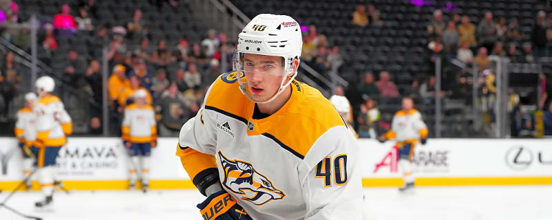 Nashville Predators Reassign Fedor Svechkov