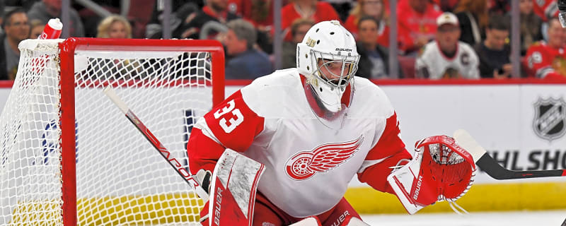 Insider Hints Oilers Could Talk Trade for Red Wings for Goalie Prospect