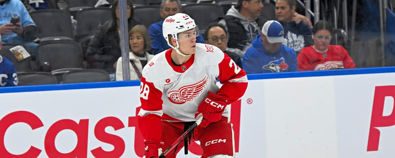 Red Wings Recall Michael Brandsegg-Nygard