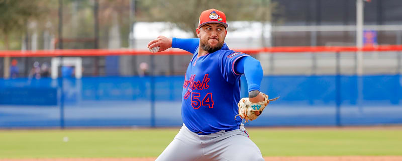 Mets Select Daniel Duarte