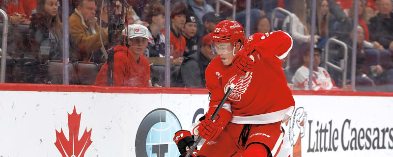 Red Wings Activate Jacob Bernard-Docker