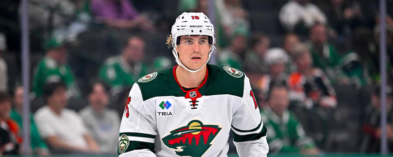 Wild recall Nicolas Aube-Kubel