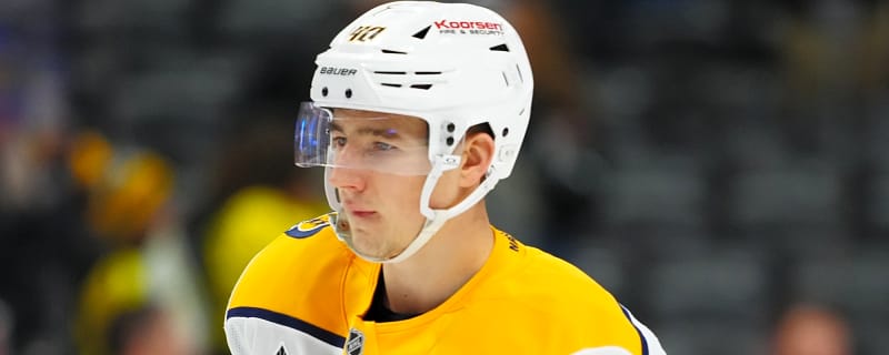Nashville Predators Recall Three Players