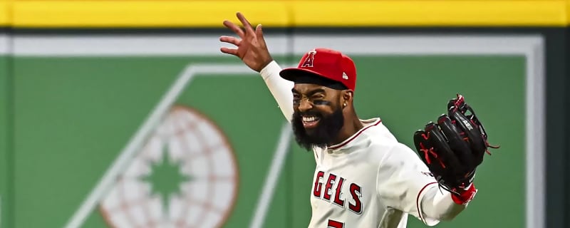 Adell Triple Robbery Highlights Calls Of The Weekend