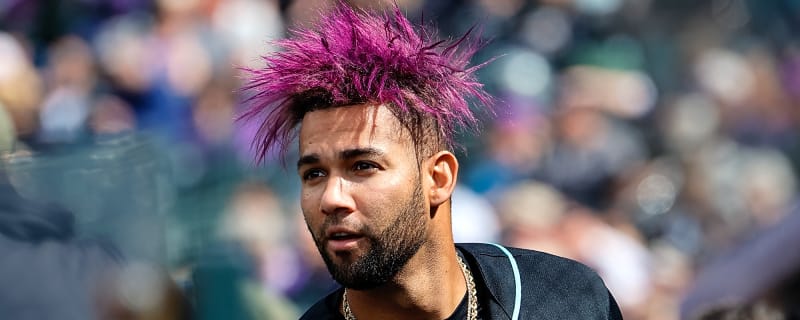 Lourdes Gurriel Jr. lands on the IL, Diamondbacks call up Tommy Troy