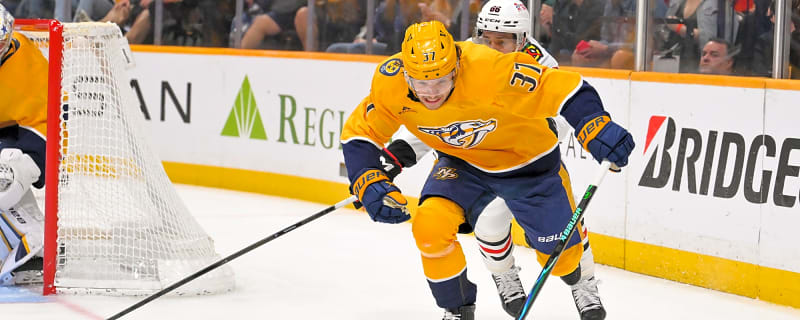 Colorado Avalanche Acquire Nick Blankenburg