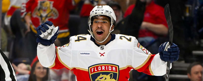 Capitals Acquire Forward Justin Sourdif from Panthers for Future Draft Picks