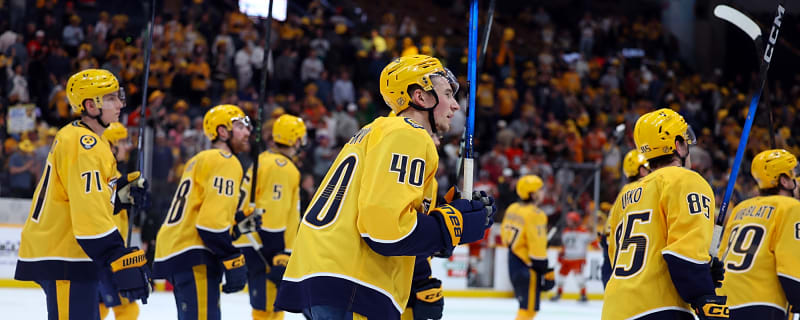 Free Agent Focus: Nashville Predators