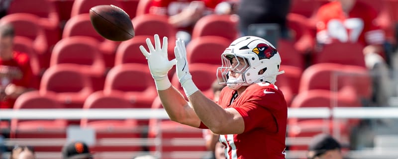 Former Cardinals TE Travis Vokolek Announces Retirement