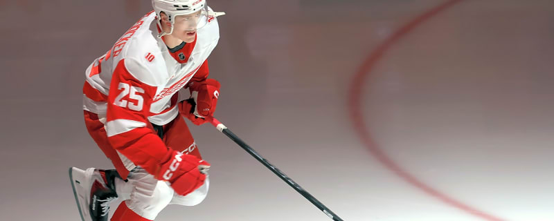 Red Wings’ Jacob Bernard-Docker day-to-day with upper-body injury