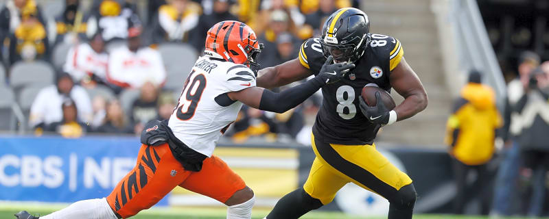 Steelers TE Darnell Washington had the most beastly play of the year