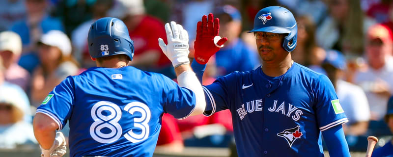 Chicago Cubs Bring Back Veteran Catcher