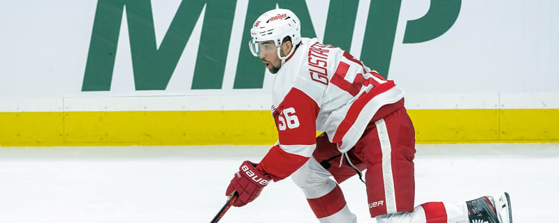 Detroit Red Wings Recall Defenseman