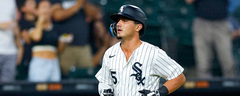 White Sox designate veteran infielder for assignment amid poor season