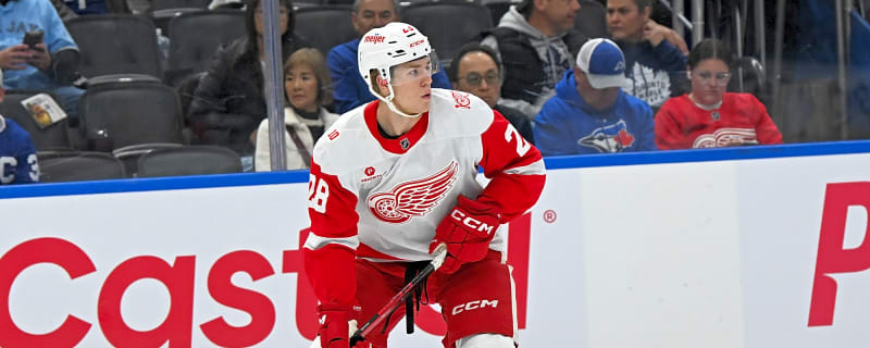 Red Wings Reassign Michael Brandsegg-Nygard, Dylan Larkin To Return