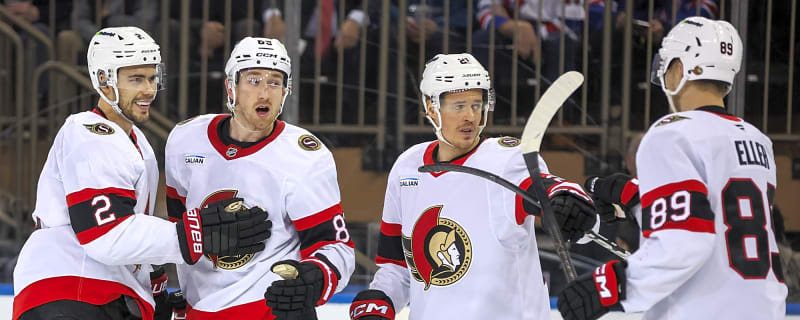 The Sens may have a leadership problem