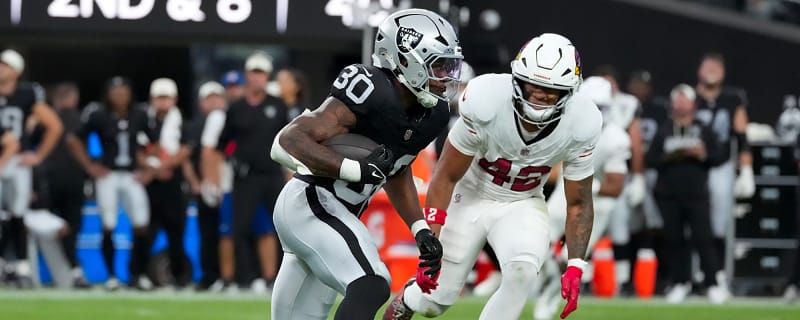 Everything You Need to Know About Raiders RB Mike Washington Jr.
