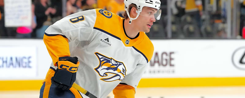 Predators Recall Andreas Englund