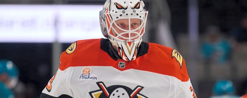 Looking at backup goalie options for the Flames