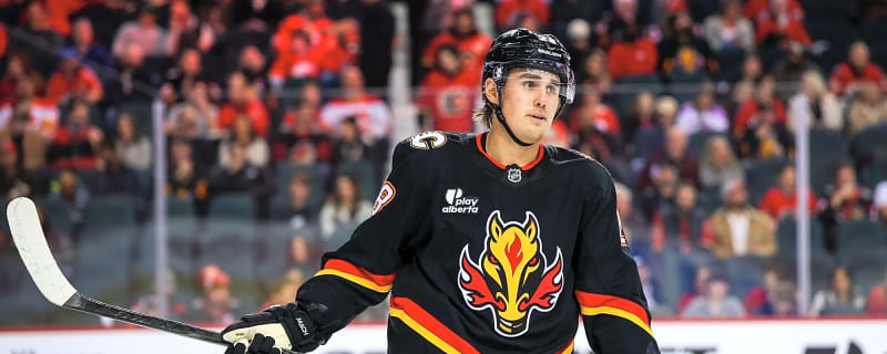 What might the Flames organization’s defence look like in 2026-27?