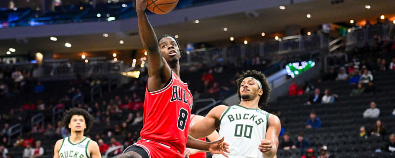 Caleb Wilson Leads Bulls Past Timberwolves 133-116 in Preseason Finale