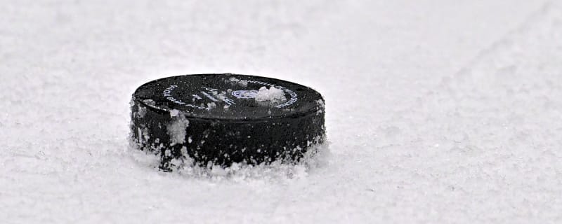 Red Wings Sign Eddie Genborg To Amateur Tryout & Entry Level Contract