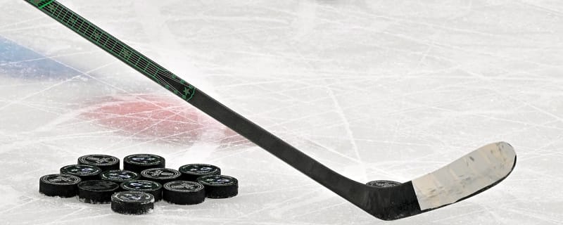 Former Coyotes star Jason Demers fuels the push for professional hockey in Arizona