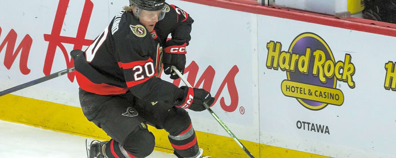 Fabian Zetterlund’s new contract is good value for the Ottawa Senators