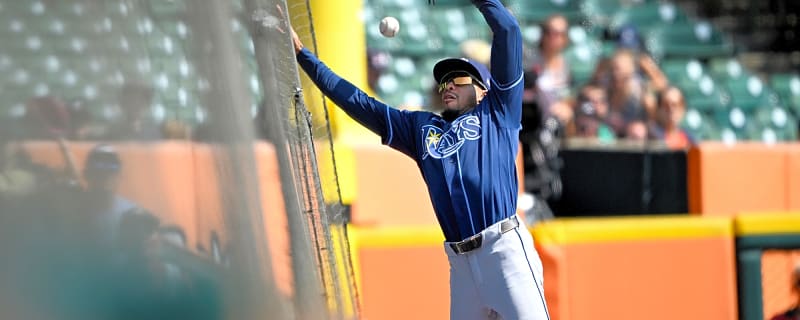 Hillsborough County Commission Approves Rays’ Stadium Proposal
