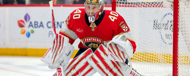 Detroit Red Wings Sign Daniil Tarasov
