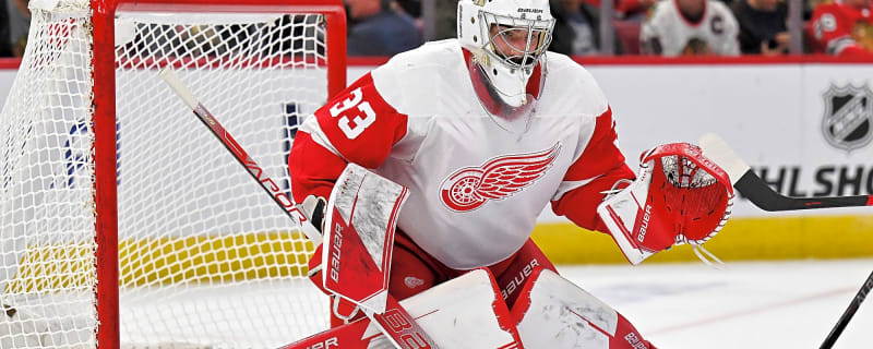 Red Wings Recall Sebastian Cossa, Reassign Erik Gustafsson