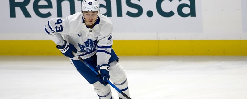 What Should Maple Leafs Fans Expect from Luke Haymes?