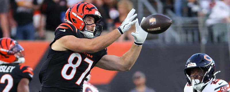 Bengals Release TE Tanner Hudson