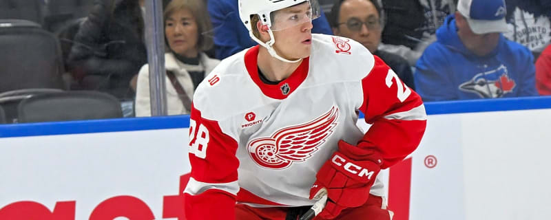 ‘He’s a bull in a China shop’: Red Wings’ Brandsegg-Nygard making most of trip to AHL