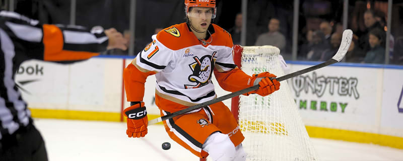  The Anaheim Ducks are More Than Just Frisky and Fun