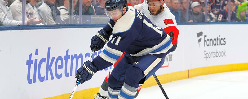 Maple Leafs Recall Miles Wood