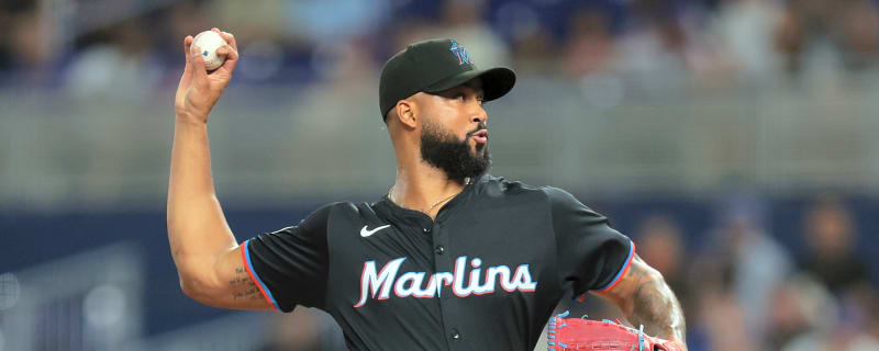 Looking at Team Dominican Republic for the 2026 World Baseball Classic