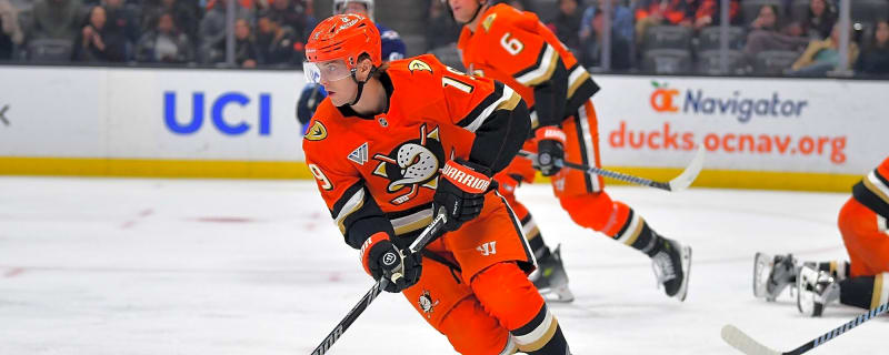Ducks’ Troy Terry activated from IR, expected to return against Golden Knights 