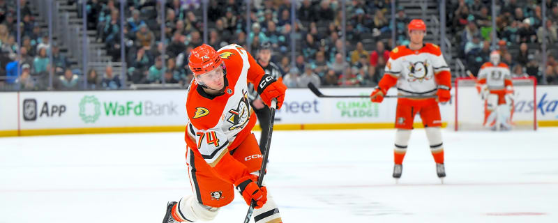 Ducks Reassign Ian Moore