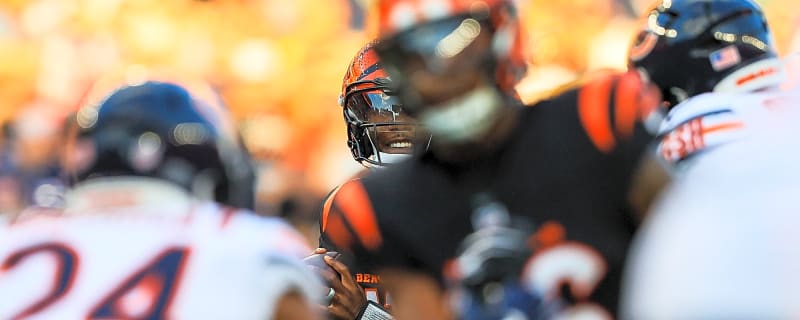Monsters Reborn: Bears 'Rivalries' Uniform Unveiled