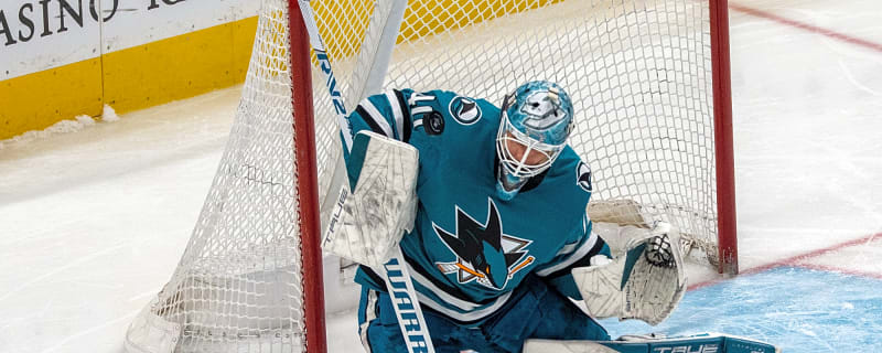 Free agent profile: Alexandar Georgiev
