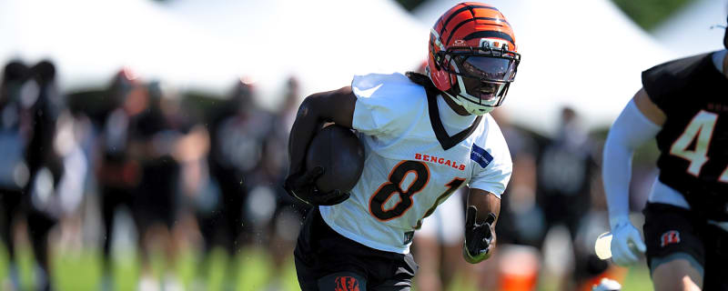 Dohnte Meyers Could Shake Up the Cincinnati Bengals’ Wide Receiver Battle